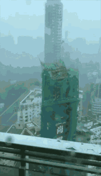 14.gif